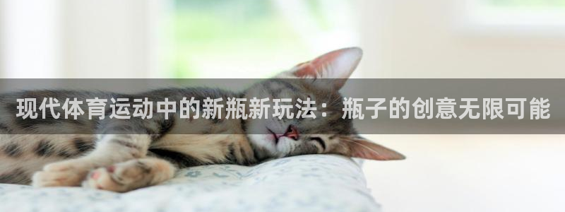 酷玩体育nba