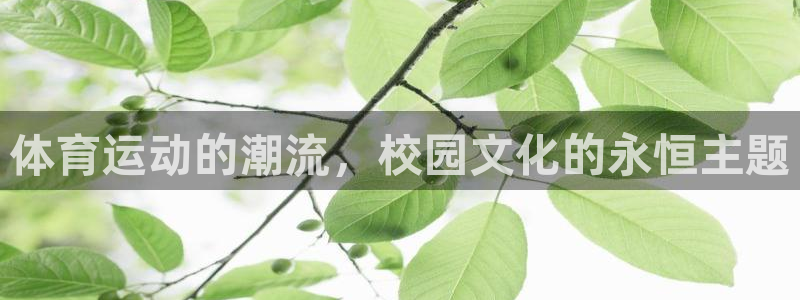 关键词