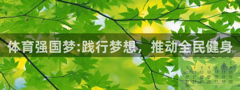 酷玩体育直播在线播放