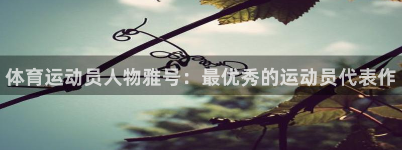 酷玩体育低调看NBA：体育运动员人物雅号：最优秀的运动员代表作