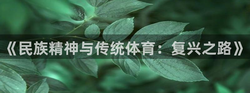 酷玩体育的东西是正品吗：《民族精神与传统体育：复兴之路》