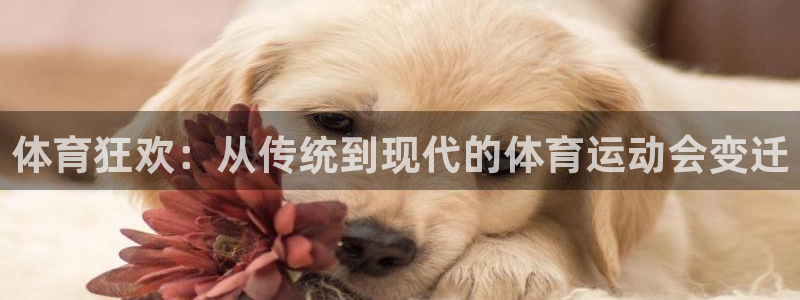 关键词：体育狂欢：从传统到现代的体育运动会变迁